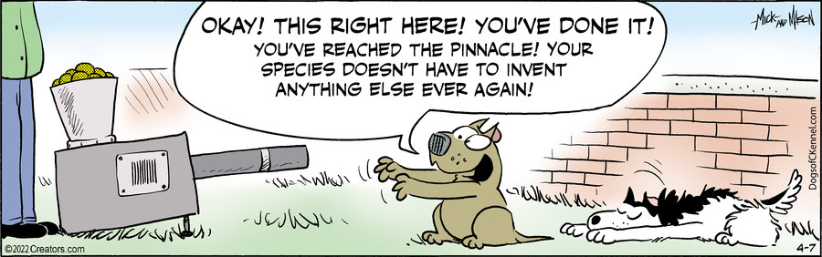 Dogs of C-Kennel for Apr 07, 2022