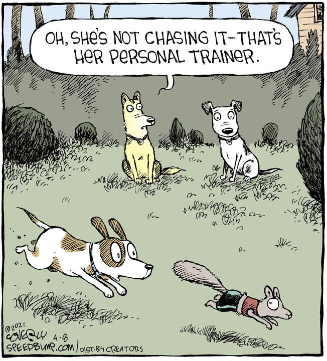 Speed Bump for Apr 08, 2021