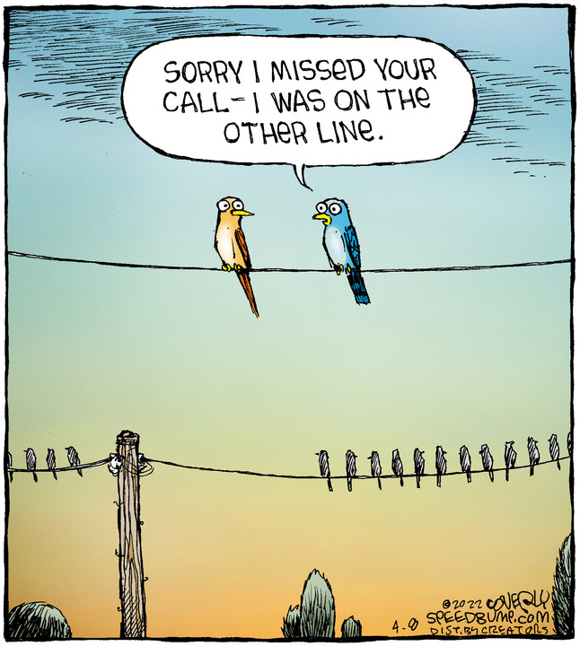 Speed Bump for Apr 08, 2022