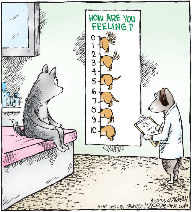 Speed Bump for Apr 10, 2023