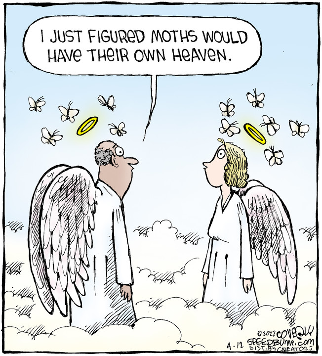 Speed Bump for Apr 12, 2022