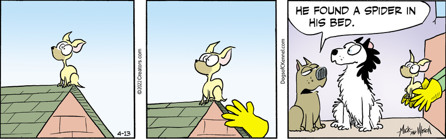 Dogs of C-Kennel for Apr 13, 2022