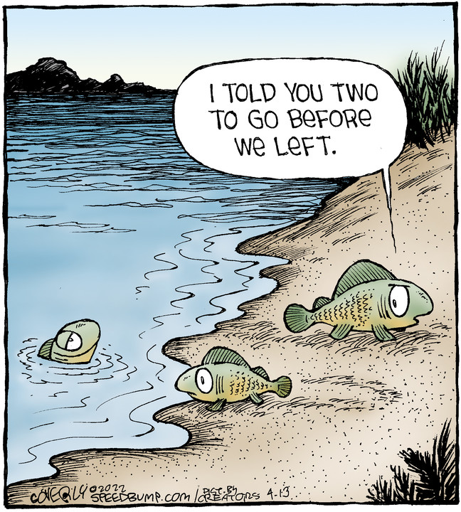 Speed Bump for Apr 13, 2022