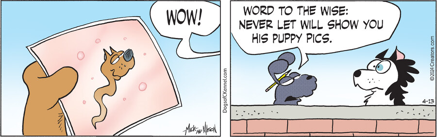 Dogs of C-Kennel for Apr 13, 2024