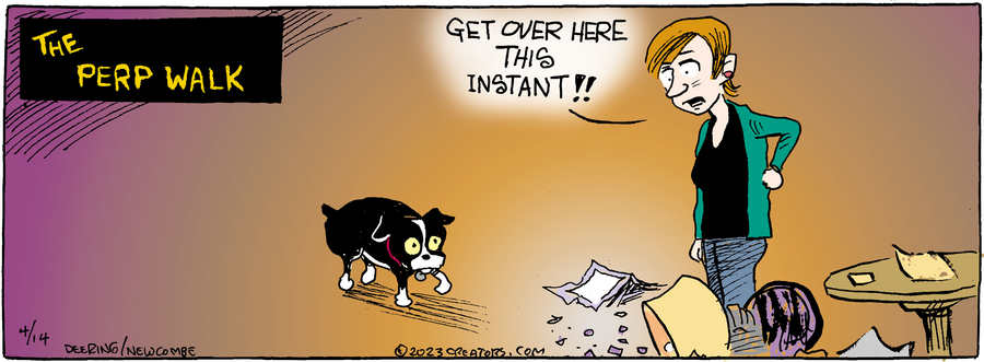 Zack Hill for Apr 14, 2023