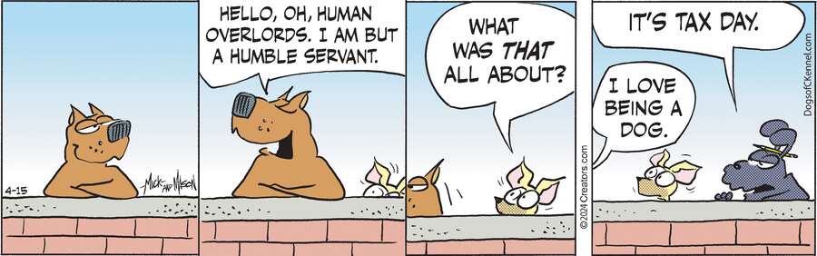 Dogs of C-Kennel for Apr 15, 2024
