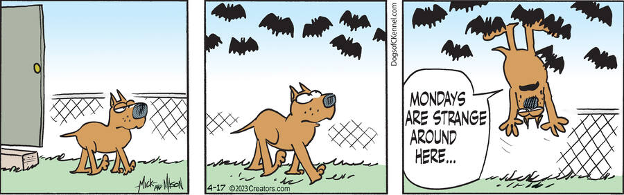 Dogs of C-Kennel for Apr 17, 2023