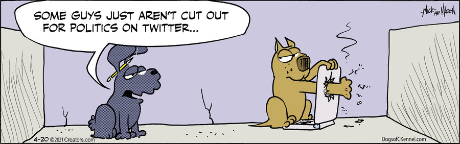 Dogs of C-Kennel for Apr 20, 2021