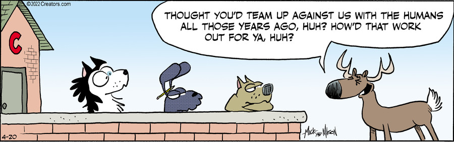 Dogs of C-Kennel for Apr 20, 2022