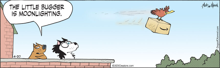 Dogs of C-Kennel for Apr 20, 2023