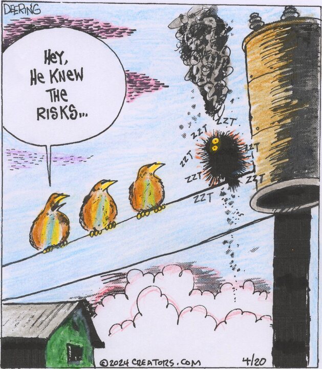 Strange Brew for Apr 20, 2024