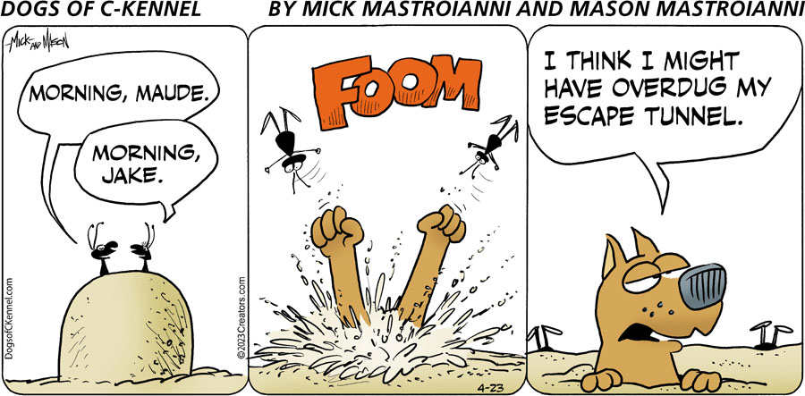 Dogs of C-Kennel for Apr 23, 2023