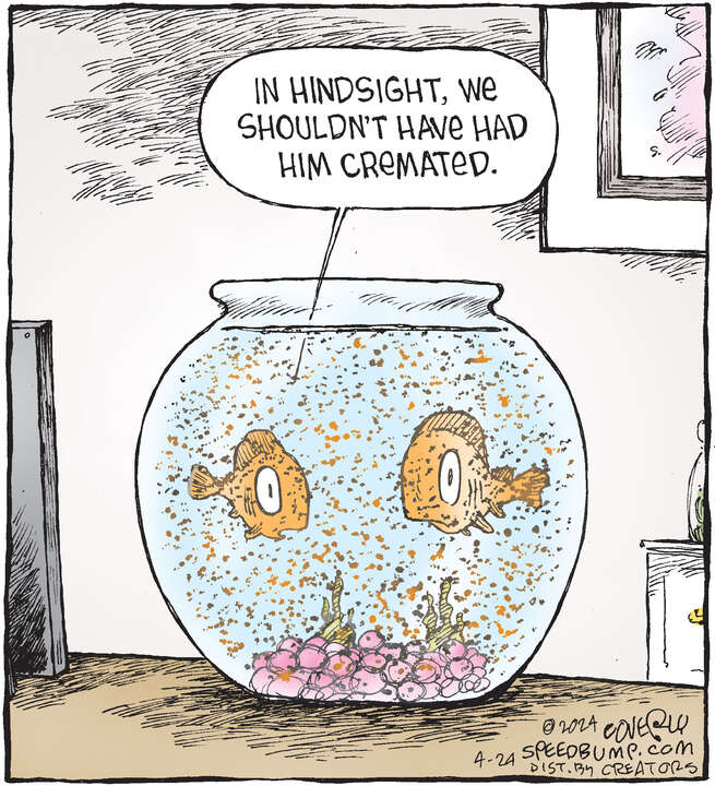 Speed Bump for Apr 24, 2024