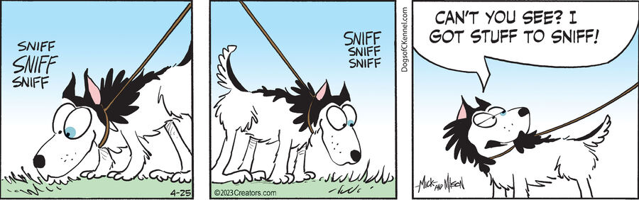 Dogs of C-Kennel for Apr 25, 2023