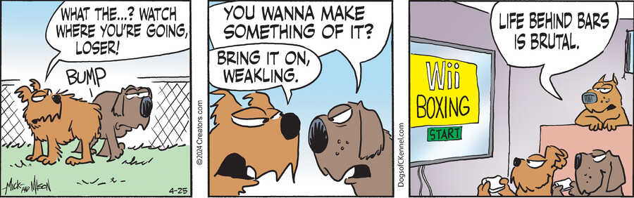 Dogs of C-Kennel for Apr 25, 2024