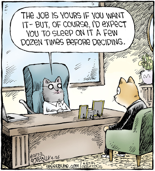 Speed Bump for Apr 26, 2022