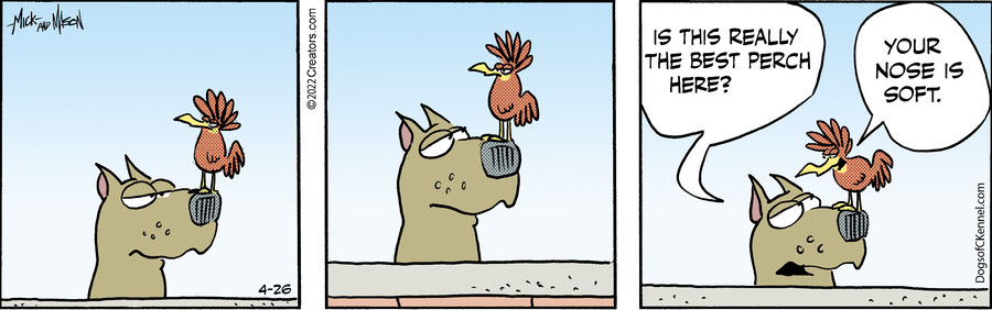 Dogs of C-Kennel for Apr 26, 2022