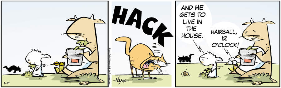 The Barn for Apr 29, 2023