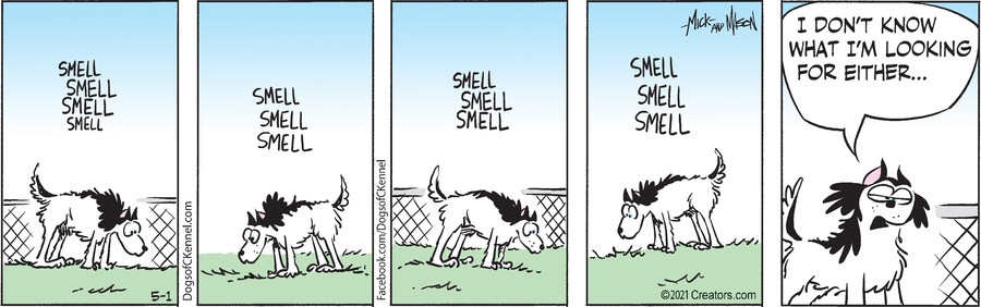 Dogs of C-Kennel for May 01, 2021