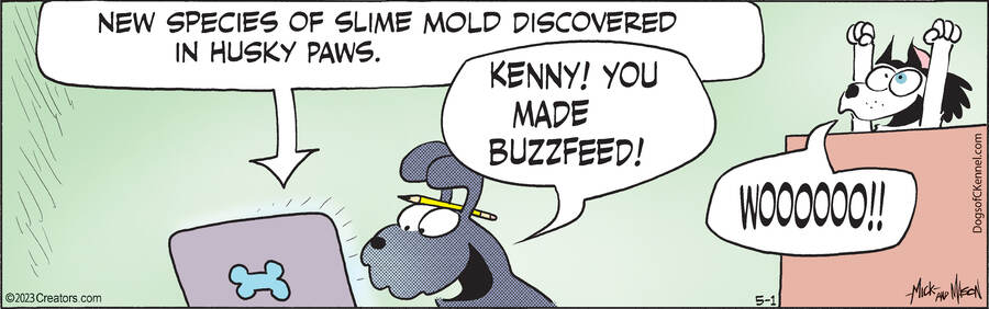 Dogs of C-Kennel for May 01, 2023