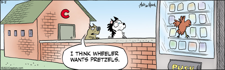 Dogs of C-Kennel for May 02, 2022