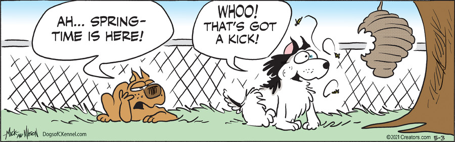 Dogs of C-Kennel for May 03, 2021
