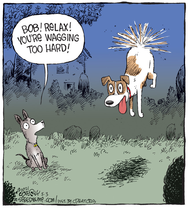 Speed Bump for May 03, 2021