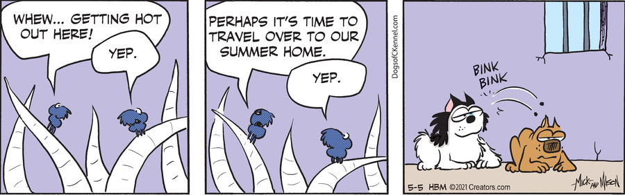 Dogs of C-Kennel for May 05, 2021