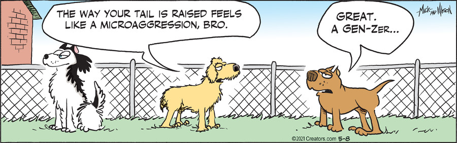 Dogs of C-Kennel for May 08, 2021