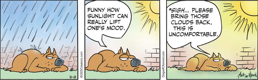 Dogs of C-Kennel for May 08, 2023