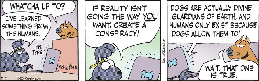 Dogs of C-Kennel for May 08, 2024