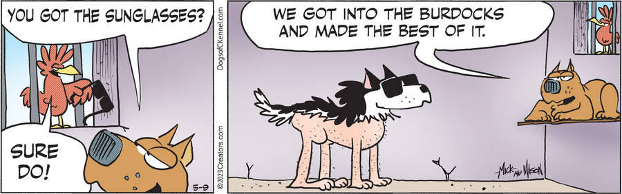 Dogs of C-Kennel for May 09, 2023