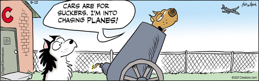 Dogs of C-Kennel for May 12, 2021