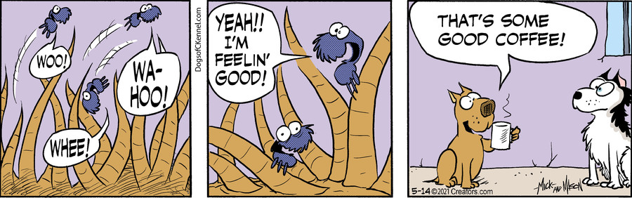 Dogs of C-Kennel for May 14, 2021