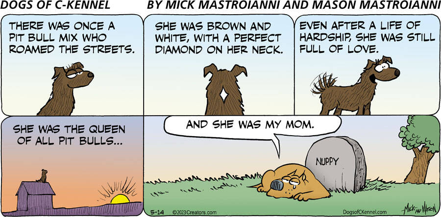 Dogs of C-Kennel for May 14, 2023