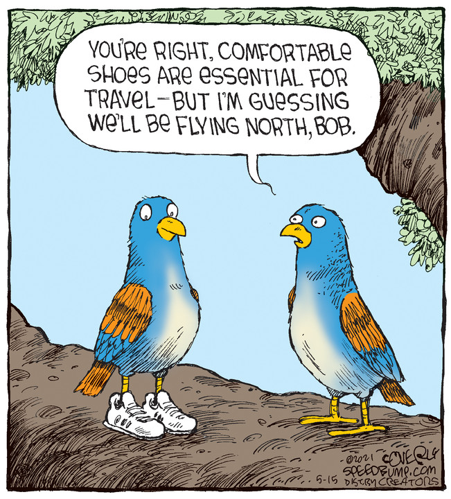 Speed Bump for May 15, 2021