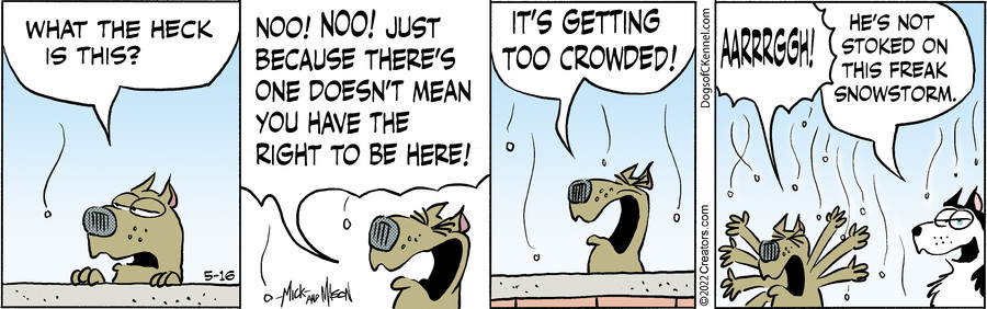 Dogs of C-Kennel for May 16, 2022