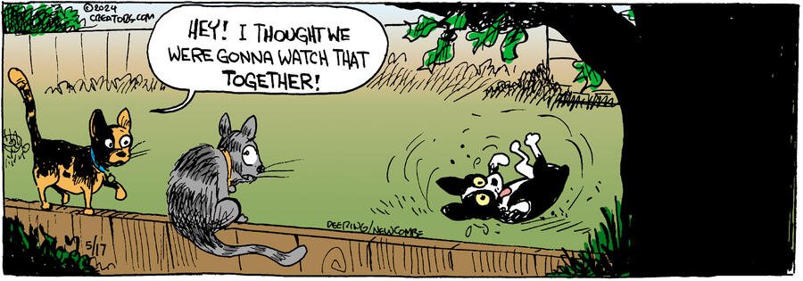 Zack Hill for May 17, 2024