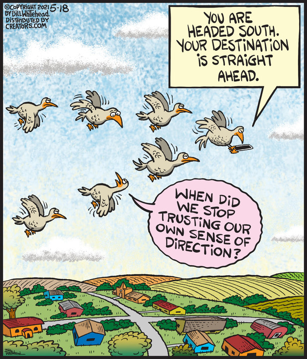 Free Range for May 18, 2021