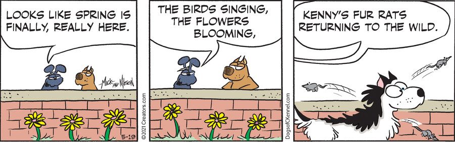 Dogs of C-Kennel for May 19, 2021