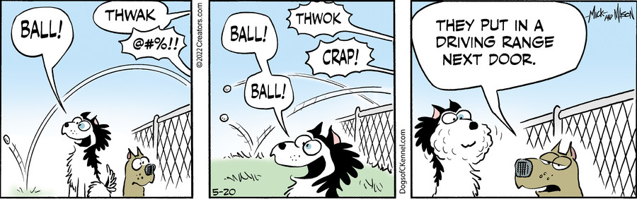 Dogs of C-Kennel for May 20, 2022