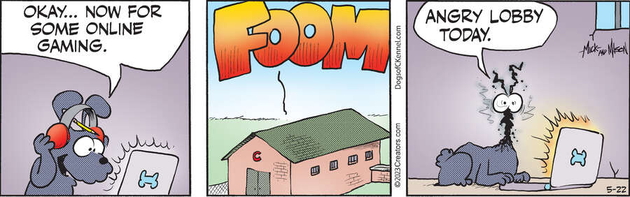 Dogs of C-Kennel for May 22, 2023