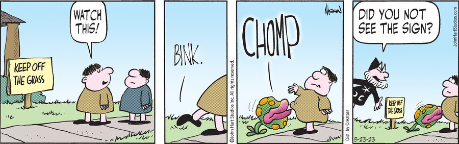 Wizard of Id for May 23, 2023