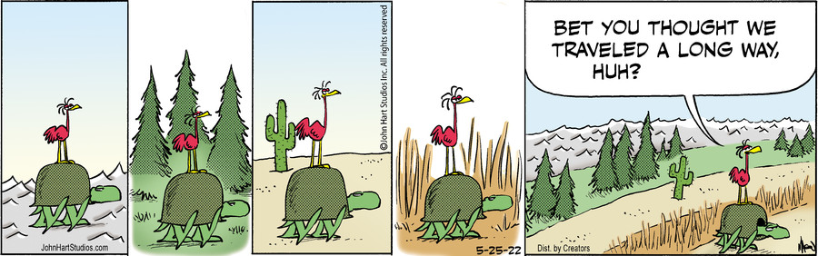 B.C. for May 25, 2022