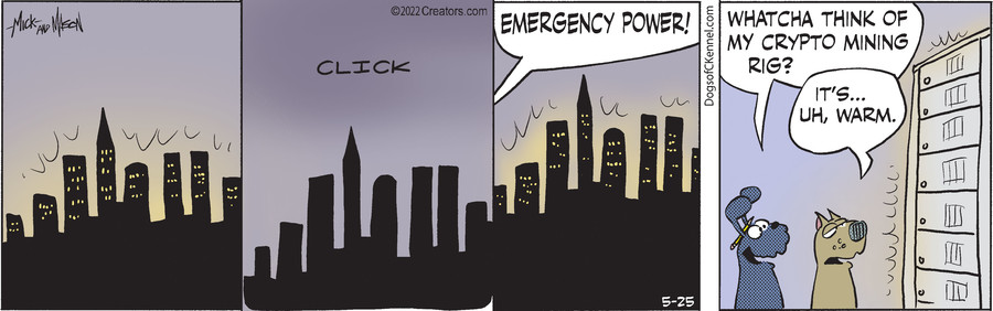 Dogs of C-Kennel for May 25, 2022