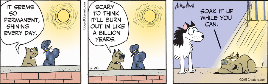 Dogs of C-Kennel for May 26, 2021