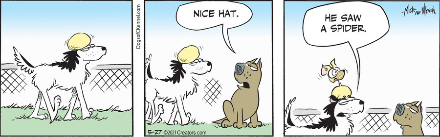 Dogs of C-Kennel for May 27, 2021