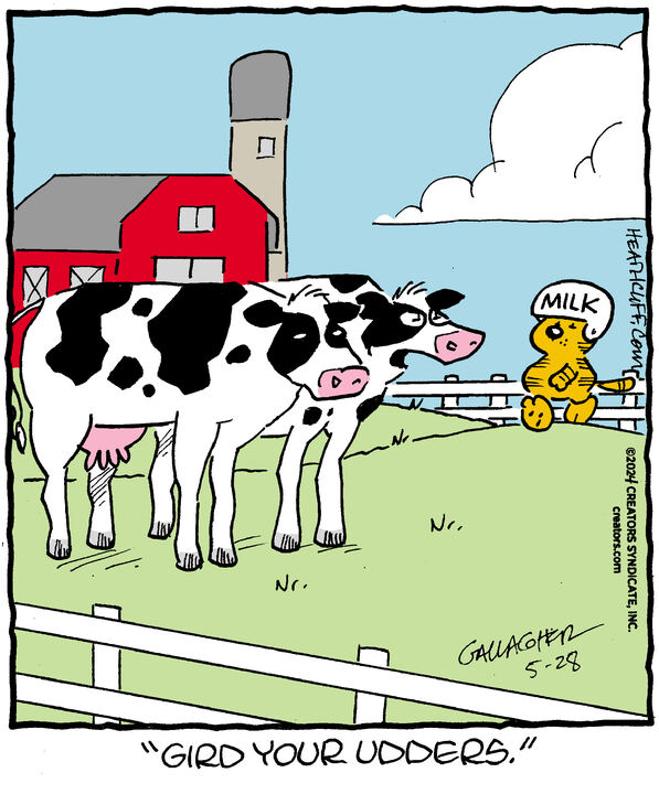 Heathcliff for May 28, 2024