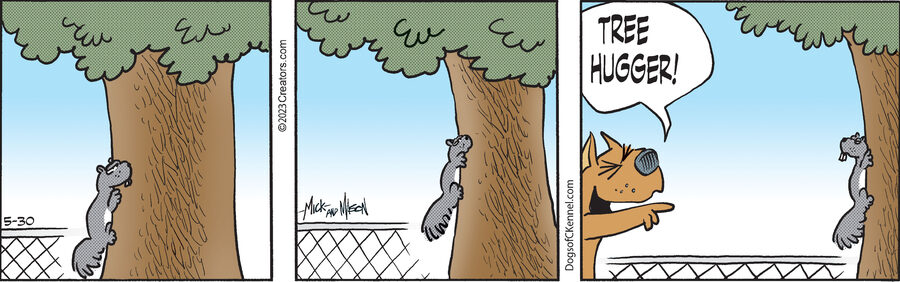 Dogs of C-Kennel for May 30, 2023