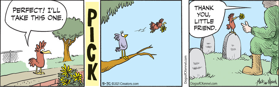 Dogs of C-Kennel for May 31, 2021